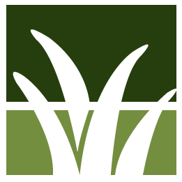 Emergency Storm Damage Removal Pros