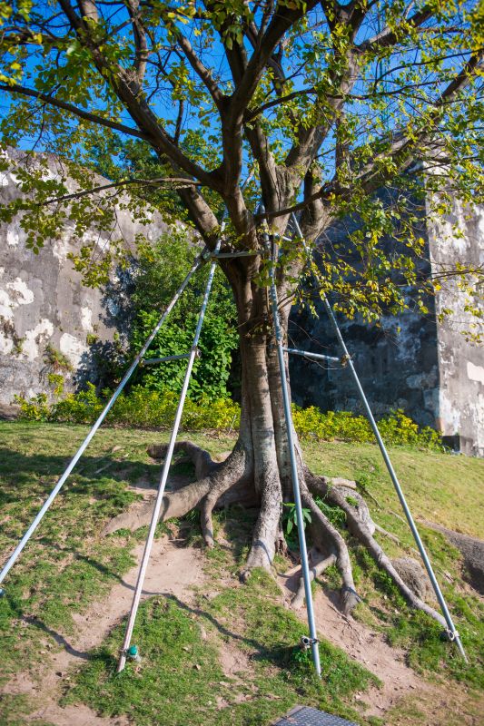 Structural Stabilization