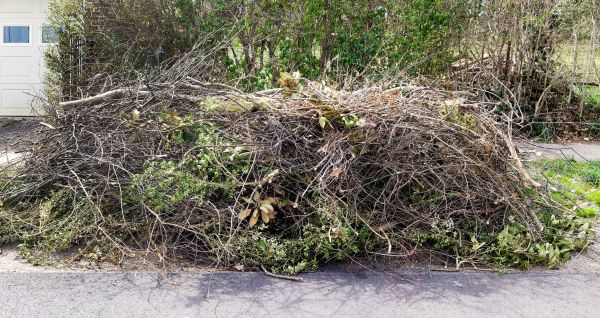 Lot Cleanup